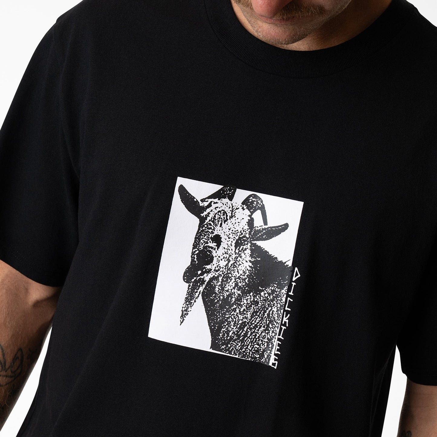 Mike Anderson Graphic T-Shirt | Dickies sale